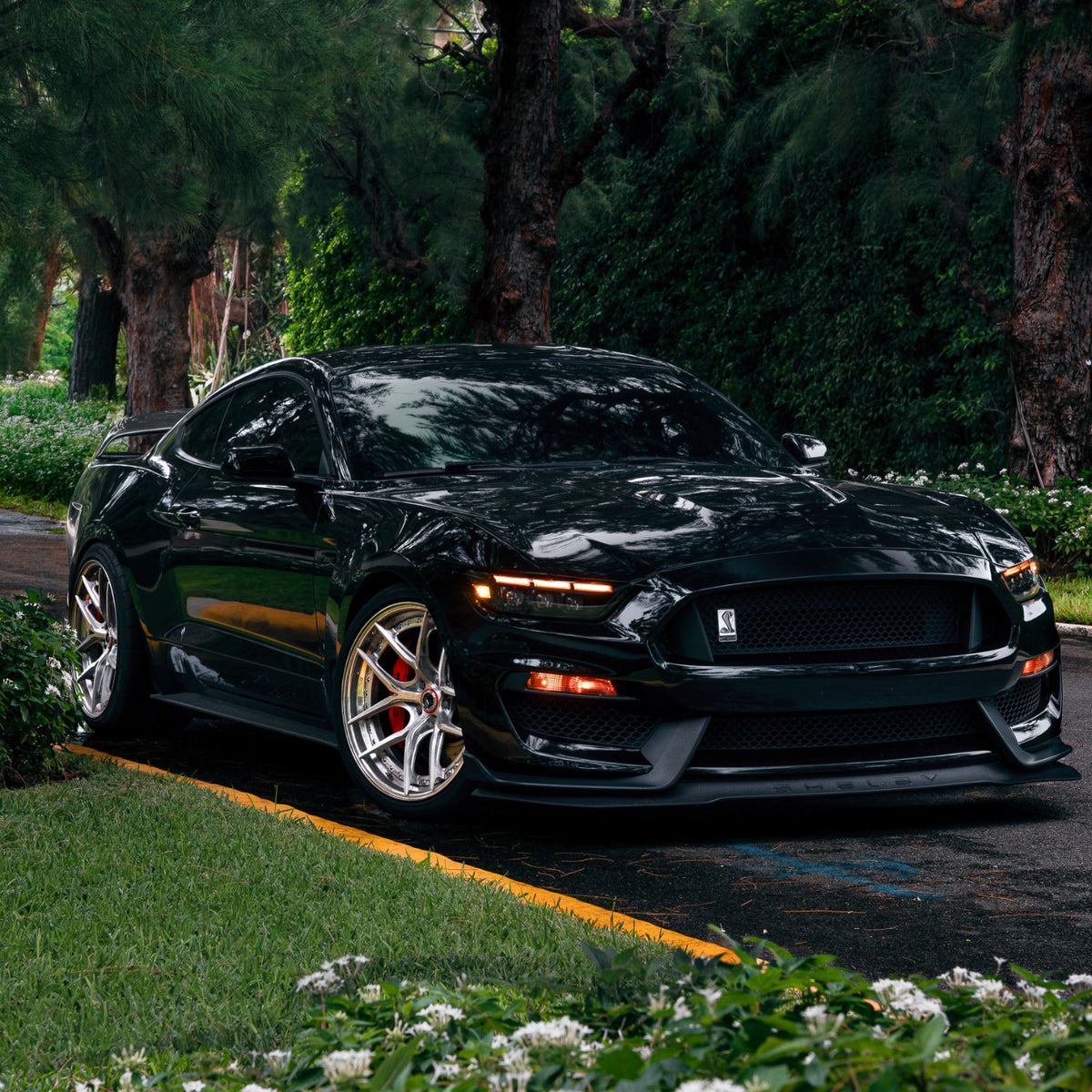 AlphaRex 15-17 Ford Mustang/18-20 Mustang Shelby GT350/GT500 MK II NOVA-Series LED Projector Headlights Alpha-Black