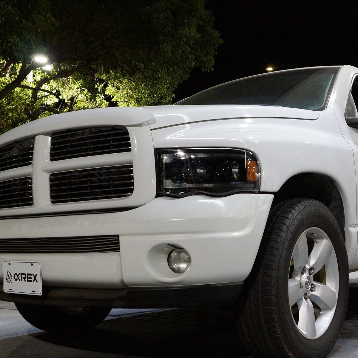 AlphaRex 02-05 Dodge Ram PRO-Series Halogen Projector Headlights Black